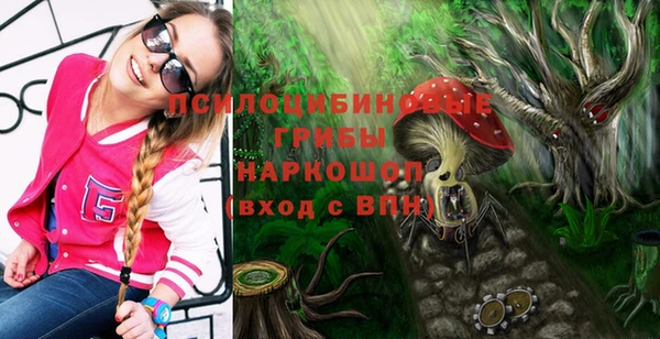 сатива Богородск