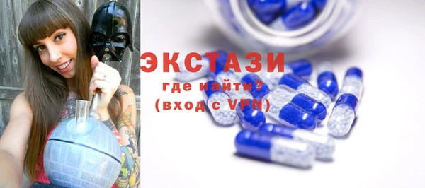 крисы Богородицк