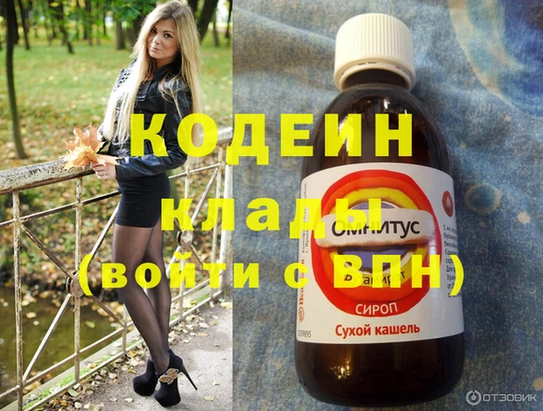 крисы Богородицк