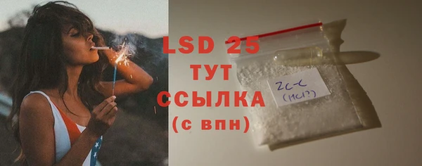крисы Богородицк