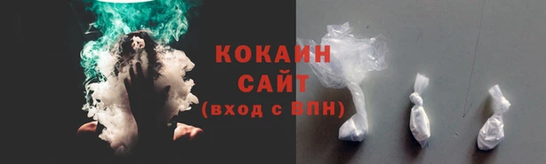 крисы Богородицк