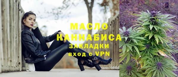 крисы Богородицк