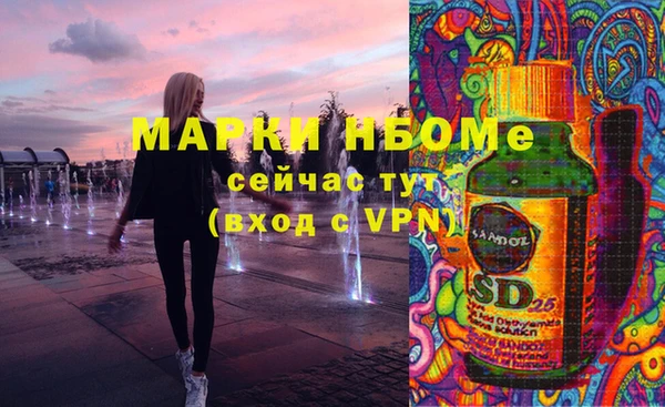 крисы Богородицк