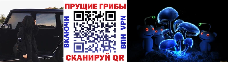 Купить где  Балахна  Галлюциногенные грибы Psilocybe 