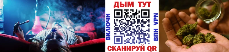 Бошки Шишки планчик  Купить  Балахна 